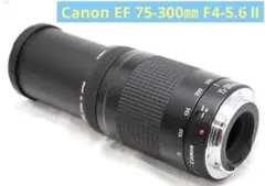 canon レンズ(ズーム)
