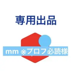 ディズニー エコバッグ カプセルトイ　持ち手改良タイプ　4点