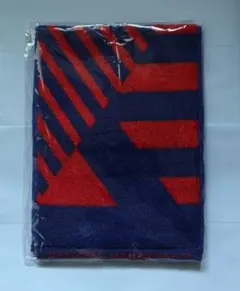 新品未開封！　FC東京　 OFFICIAL MEMBERSHIP タオルマフラー