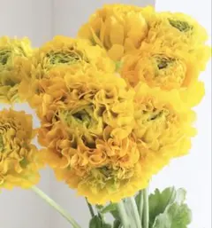 しょこら様 リクエスト 4点 まとめ商品