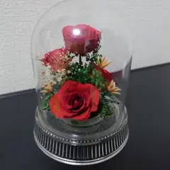 2026年最新】レンデフロールの人気アイテム - メルカリ