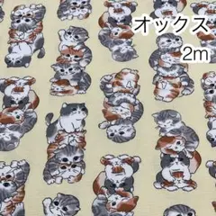 2m ぎゅうぎゅう猫 クリーム オックス