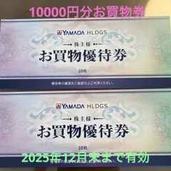YAMADA HLDGS. お買物優待券 10000円分