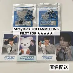 stray kids スキズ アイエンpilot ペンミ まとめ売り