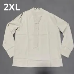 新品未使用✨シフォンブラウス　リボン付きVネック長袖シャツ　ライトグレー　2XL