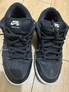 Nike Dunk Low Pro SB Wasted Youth