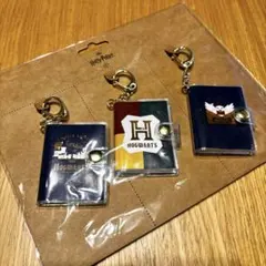 くにちゃん様 リクエスト 2点 まとめ商品