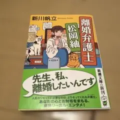 【書店のカバー付き】離婚弁護士 松岡紬