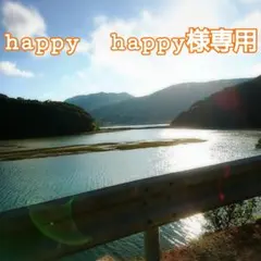 happy happy様専用❗