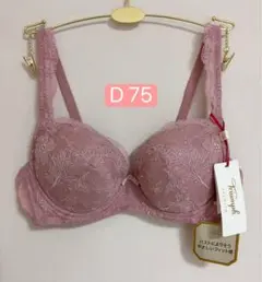 トリンプ プレミアムゴールドレーベル3072ブラジャー 下着　D 75のサムネイル