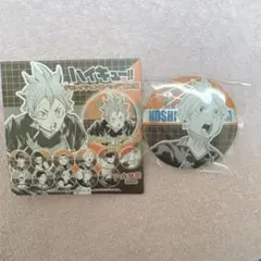 ハイキュー!! デコレクション缶バッジ 第2弾 菅原孝支