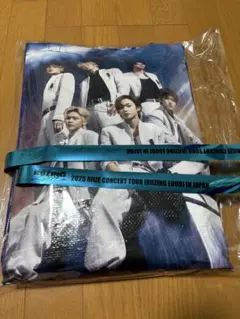 Item thumbnail for item 4ce055b7-41ee-4d9e-9f42-857ba0254f02