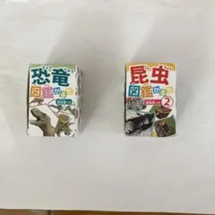 恐竜図鑑かるた　昆虫図鑑かるた⓶ 2個セット！