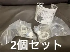 ポケモン めじるしアクセサリー第1弾 ユキハミ 2個セット