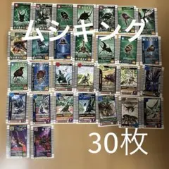 【ムシキング】トレーディングカード　30枚セット