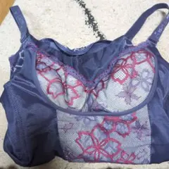 最終値下げ‼️新品‼️マルコのサクラシリーズロングブラ 2025年最新】マルコ サクラ ブラジャーの人気アイテム - メルカリ