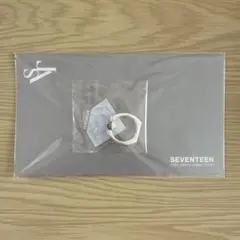 SEVENTEEN 2020 JAPAN DOME TOUR キーホルダー