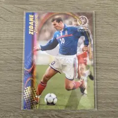 panini soccer