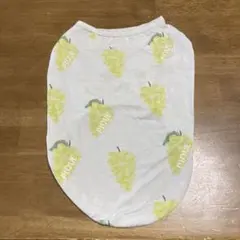 gelato pique マスカット　犬服のサムネイル