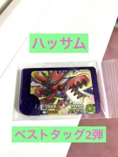 ポケモンフレンダ ハッサム ベストタッグ2弾　①