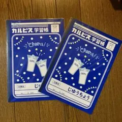 Item thumbnail for item acb6267b-c58a-4025-91e3-c15b6b44bf95