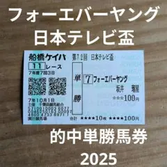 日本テレビ盃 フォーエバーヤング 馬券 フォーエバーヤング 日本テレビ盃 現地単勝馬券 - メルカリ