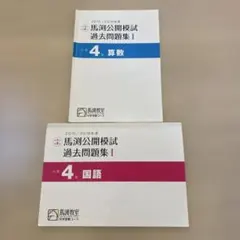 馬渕公開模試 過去問題集 小学4年 2023/2024年 2026年最新】馬渕公開模試 4年の人気アイテム - メルカリ