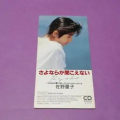 小さなヴァイオリンが欲しくて 永井陽子　歌集　砂子屋書房 小さなヴァイオリンが欲しくて 永井陽子歌集 砂子屋書房 - メルカリ