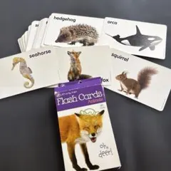 英語　フラッシュカードのサムネイル