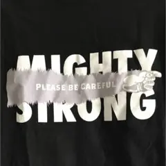 チャンピオン Tシャツ