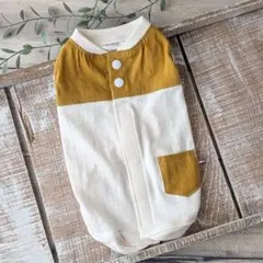 【Sサイズちょっとゆったり長め】ペット用カジュアル服 キナリ×マスタード