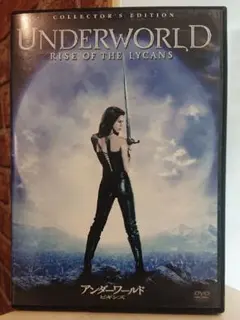 Item thumbnail for item fc324b44-1217-497e-b9af-12121732477e