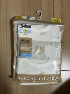 Item thumbnail for item f7bcc54e-c656-4df7-bb60-d440a80e2778