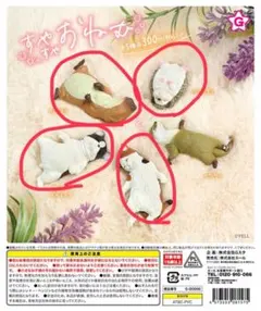すやすやおねむ 未使用 カプセルトイ 4体セット