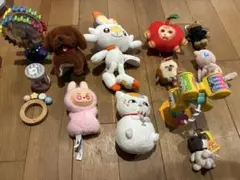 ぬいぐるみ詰め放題 - メルカリ