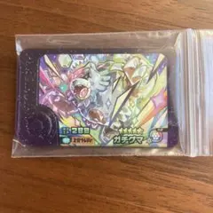 ガチグマ ポケモンフレンダ ベストタッグ2弾 2-2-007