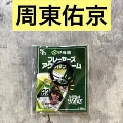 周東佑京 九州限定 ソフトバンクホークス めじるしマーカー おーいお茶