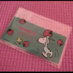 JUNJUN様 リクエスト 2点 まとめ商品