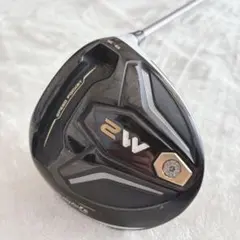 Item thumbnail for item 3f696a86-3f35-4df3-879d-c9049e2d626e