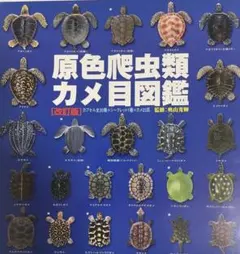 原色爬虫類カメ目図鑑 改訂版 全24種 シークレット除くのサムネイル