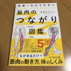 世界一わかりやすい 筋肉のつながり図鑑