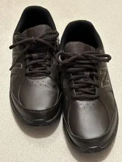 Item thumbnail for item 33931ffb-3c83-4929-b067-6d869f05c46c