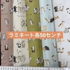 ⭐️大処分祭　セット　ラミネート生地　選べません　同封不可
