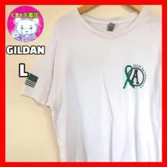 usa古着 GILDAN Tシャツ アメリカ国旗 リボン ホワイト グリーン L