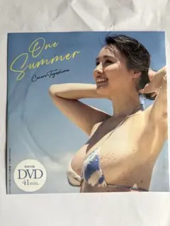 豊島心桜 週刊プレイボーイ特別付録DVD41分 One Summerと応募券