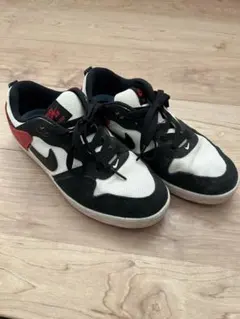 Nike SBスニーカー ホワイト/ブラック/レッド　24㎝