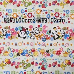 シーチング生地 ときめきフレンズ ボーダー柄 ホワイト