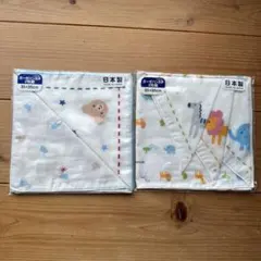 Item thumbnail for item 5e954f88-38db-4c77-9785-45b0d75d2caa