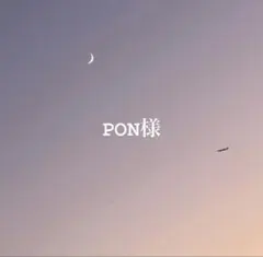 PON様　専用ページ