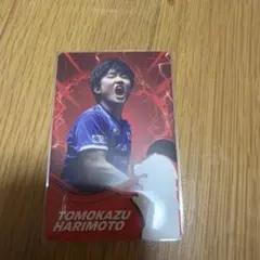卓球 シンガポールスマッシュ プレイヤーカード トレカ 日本選手 卓球 シンガポールスマッシュ プレイヤーカード トレカ 日本選手 篠塚